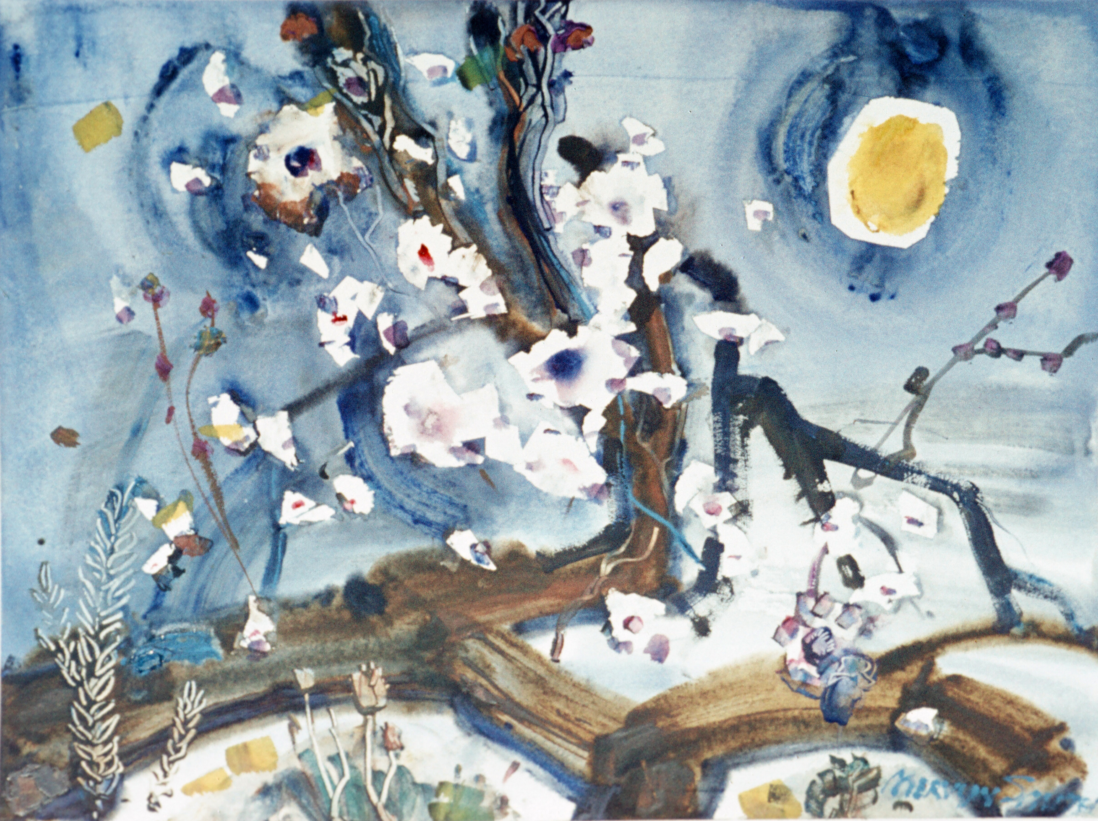 The old apricot tree