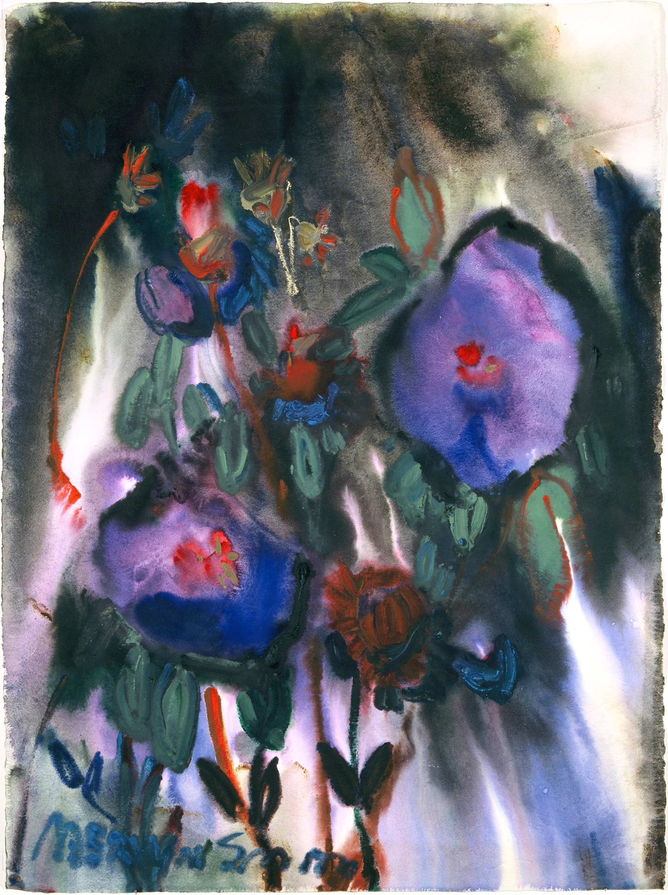 Lasiandra in a storm